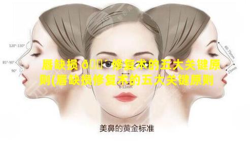 唇缺损 🌴 修复术的五大关键原则(唇缺损修复术的五大关键原则是什么)